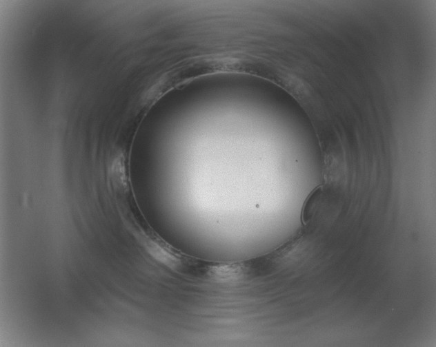 X0000062690238200512281840
