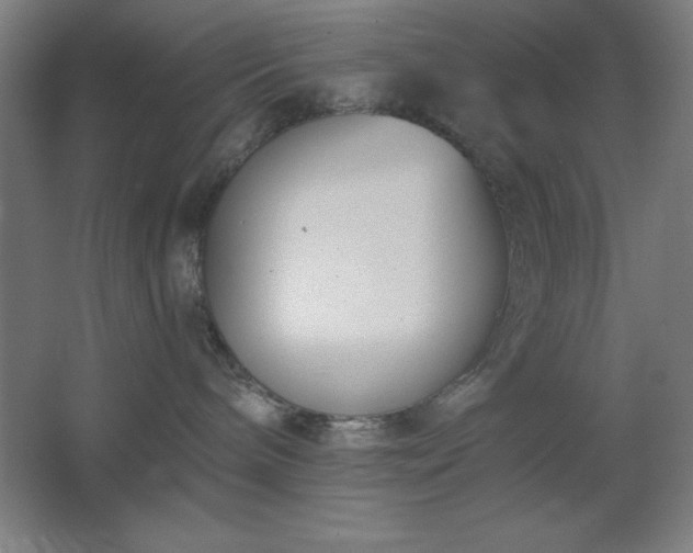 X0000062690240200512281840