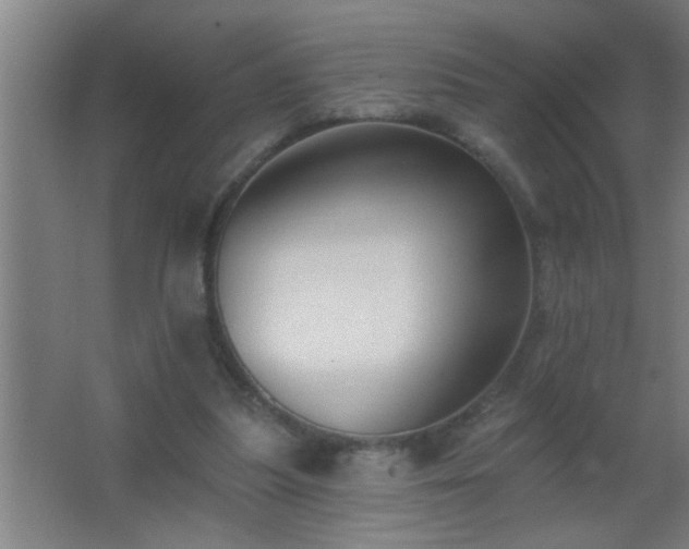 X0000062690251200512281839