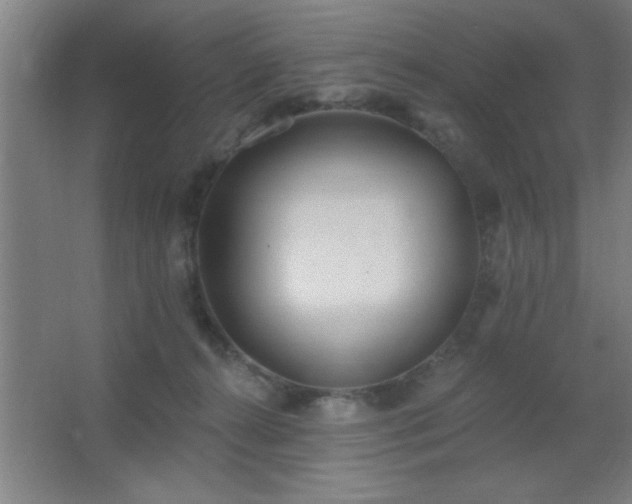X0000062690272200512281839