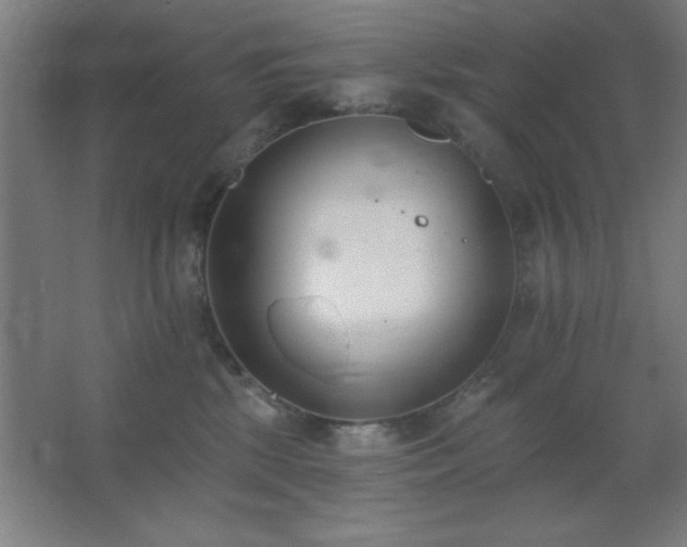 X0000062690281200512281840