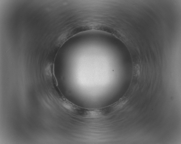 X0000062690286200512281840