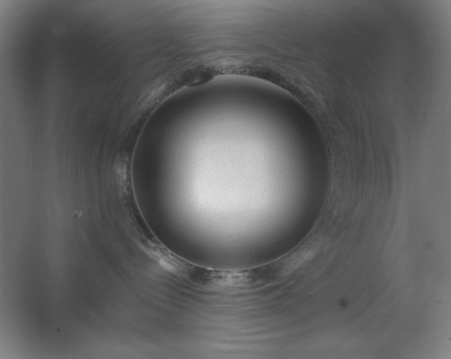 X0000062690288200512281840