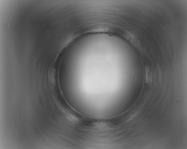 X0000062690300200512281839