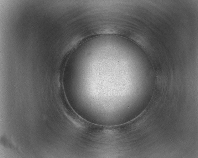 X0000062690302200512281839