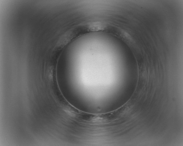 X0000062690315200512281838