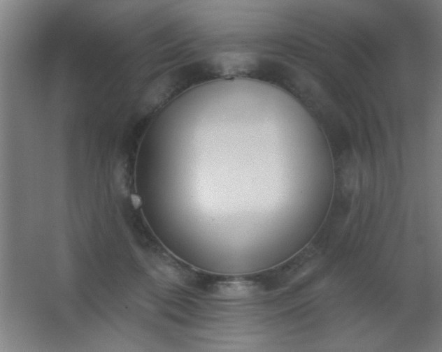X0000062690316200512281838