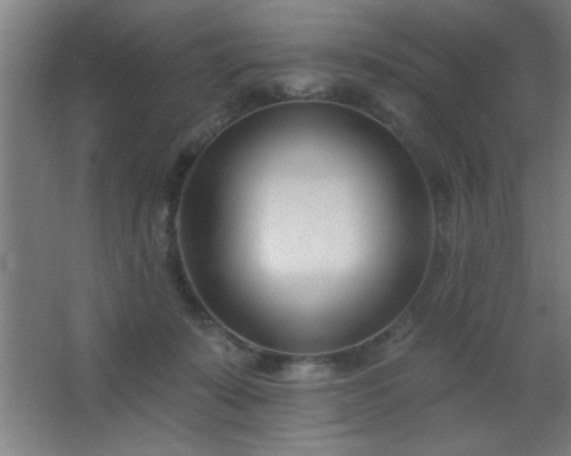 X0000062690319200512281838