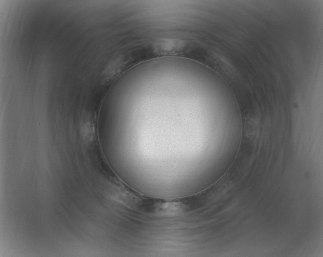 X0000062690324200512281838