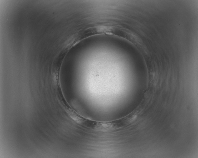 X0000062690329200512281838