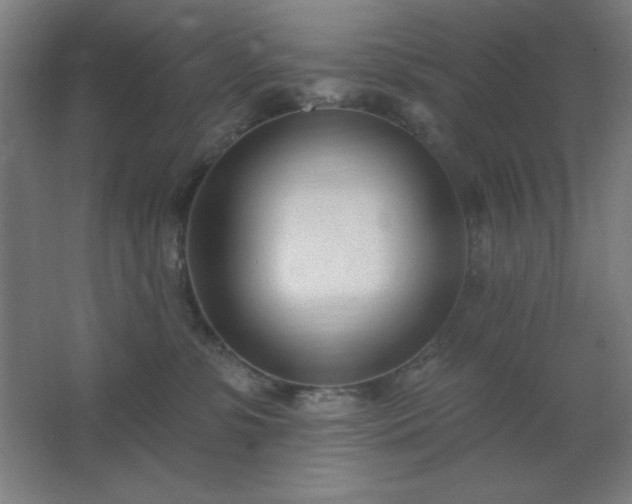 X0000062690331200512281838