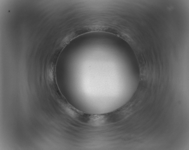 X0000062690334200512281838