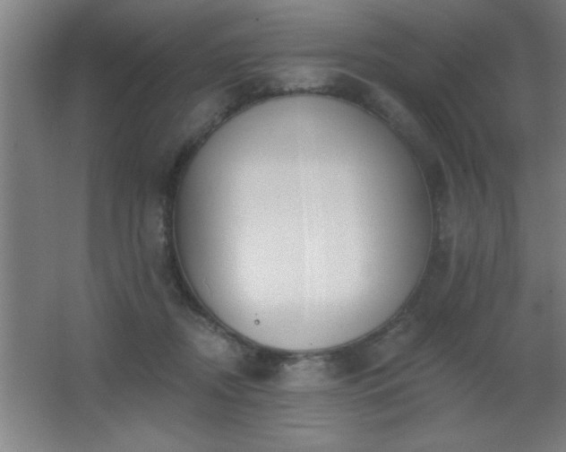 X0000062690362200512281838