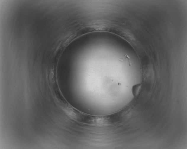 X0000062690365200512281838