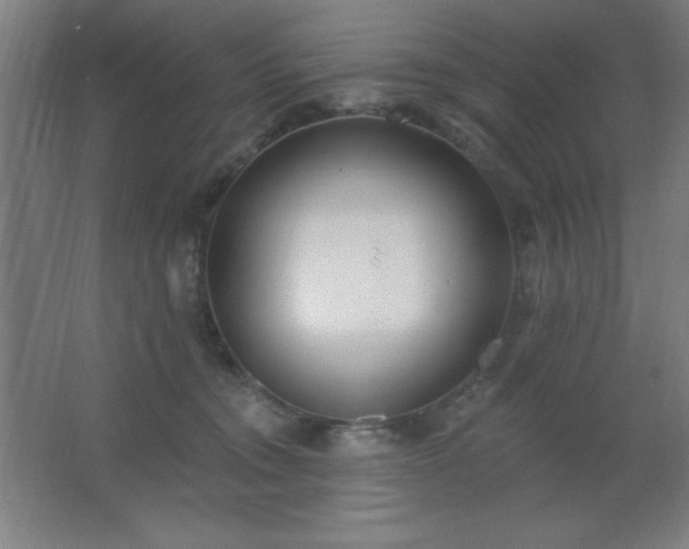 X0000062690372200512281838