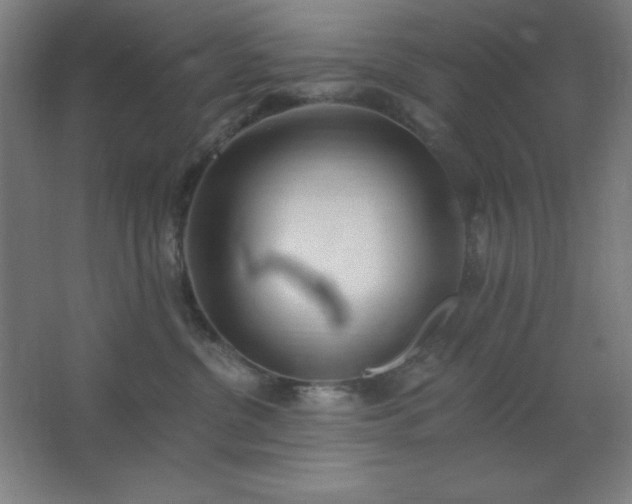 X0000062690380200512281838