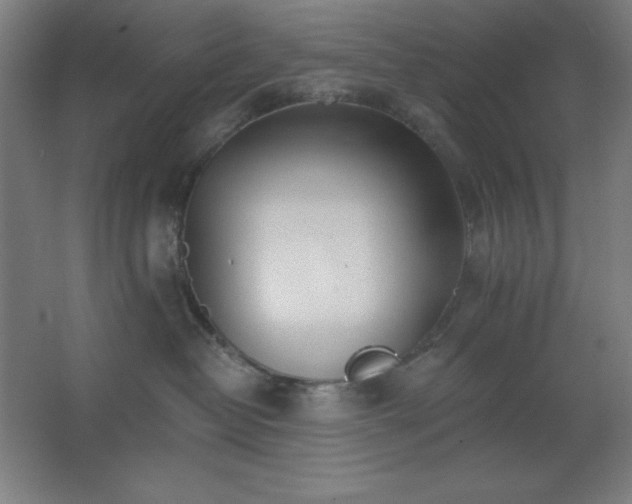 X0000062690382200512281838