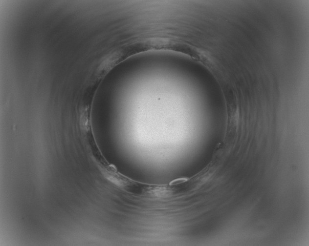 X0000062690383200512281838