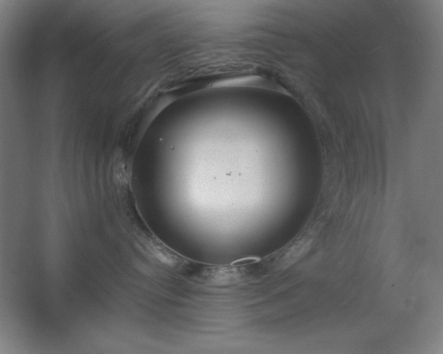 X0000062690384200512281838