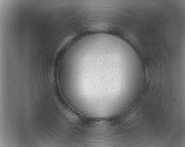 X0000062690396200512281837