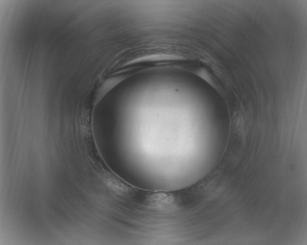 X0000062690421200512281837