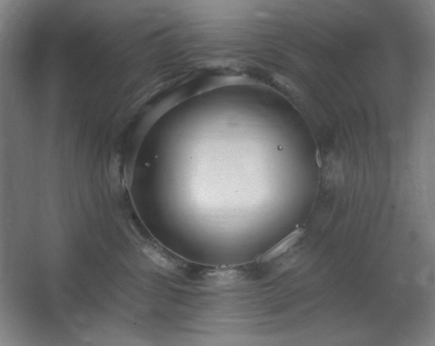 X0000062690428200512281837