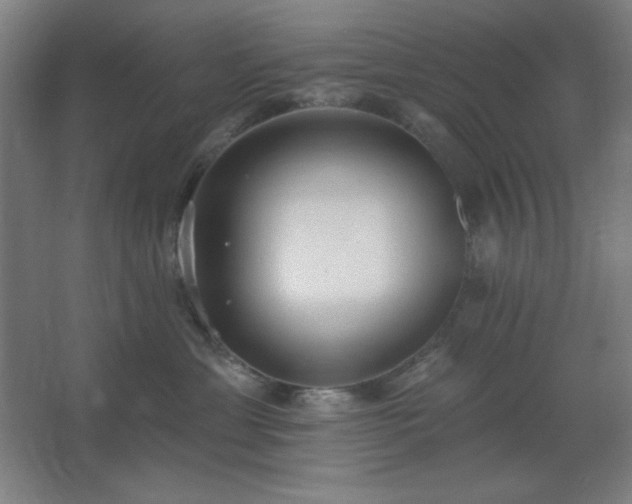 X0000062690429200512281837