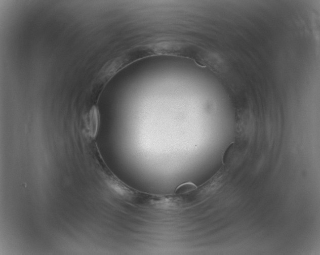 X0000062690430200512281837