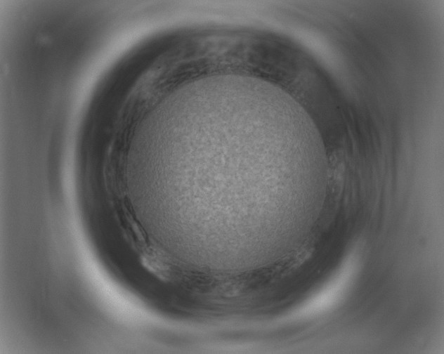 X0000062690431200512281837