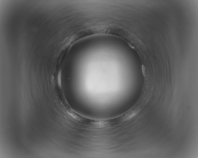 X0000062690432200512281837