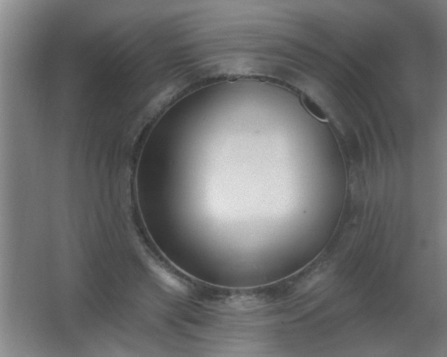 X0000062690445200512281836