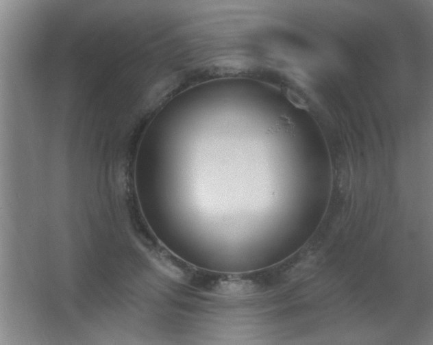 X0000062690455200512281836