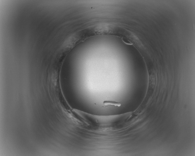 X0000062690458200512281836