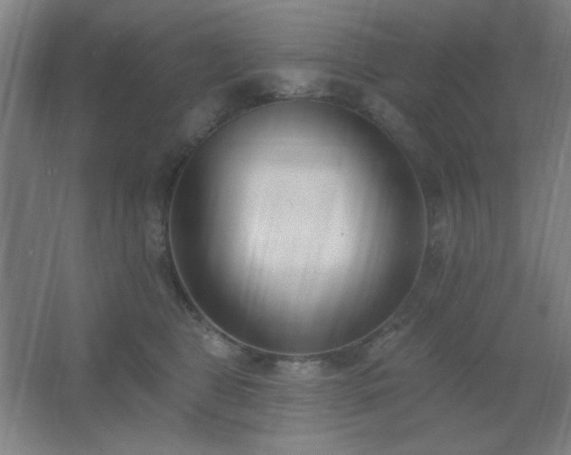 X0000062690469200512281836