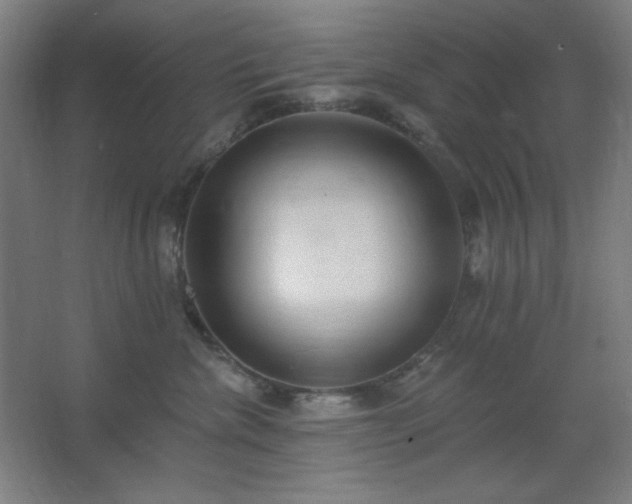X0000062690476200512281836