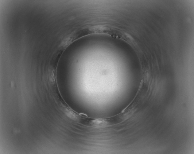 X0000062690477200512281836