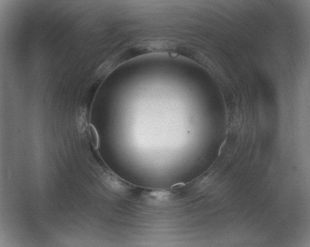 X0000062690478200512281836