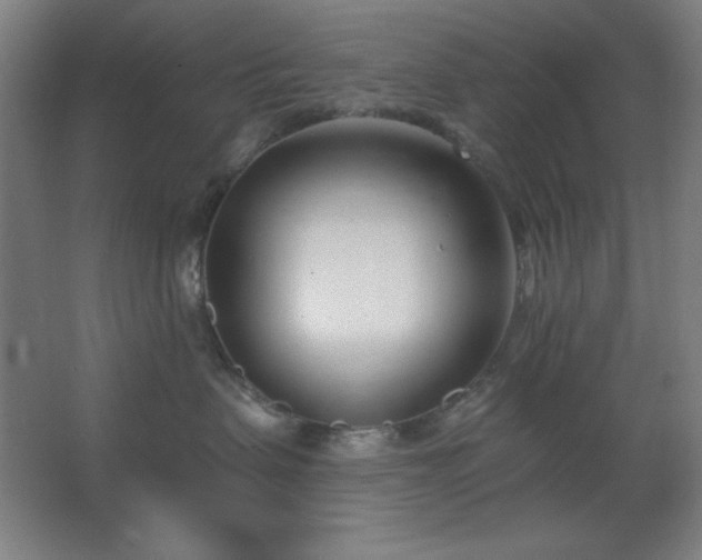 X0000062690479200512281836