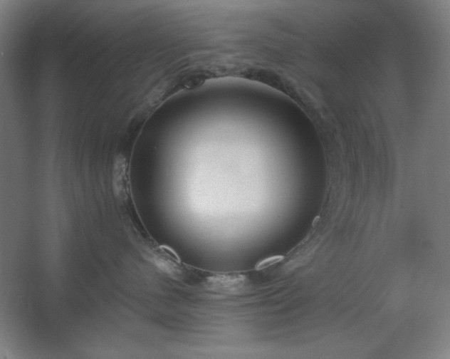 X0000062690480200512281836