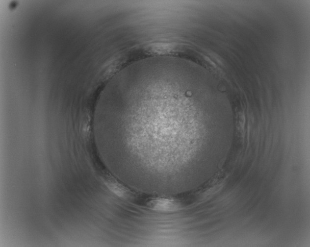 X0000062690507200512281835