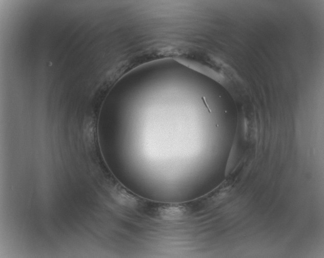 X0000062690513200512281835