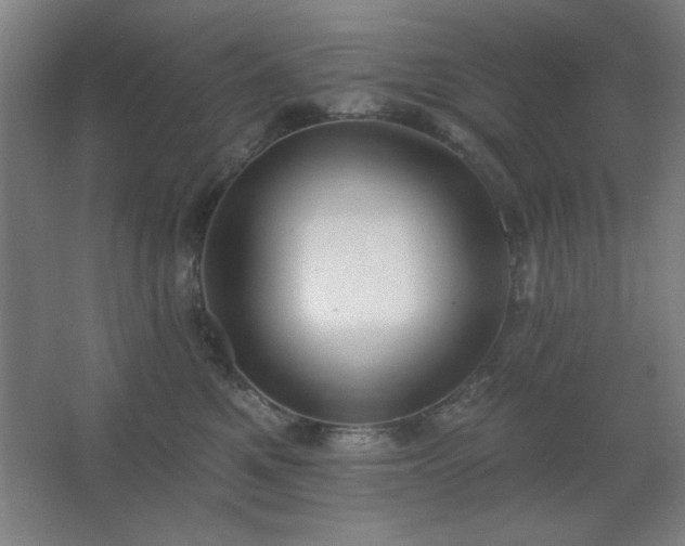 X0000062690521200512281835