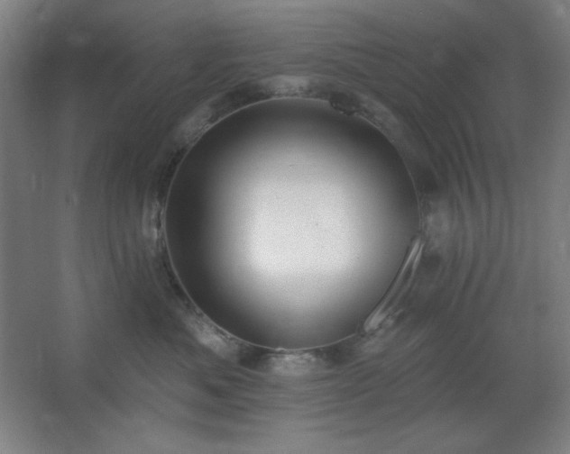 X0000062690525200512281835