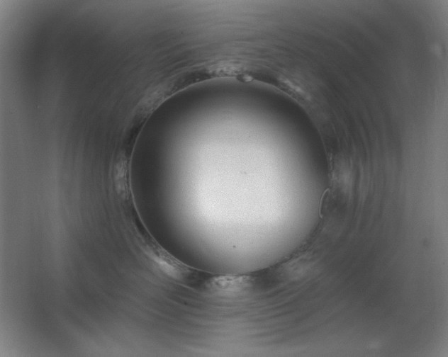 X0000062690526200512281835