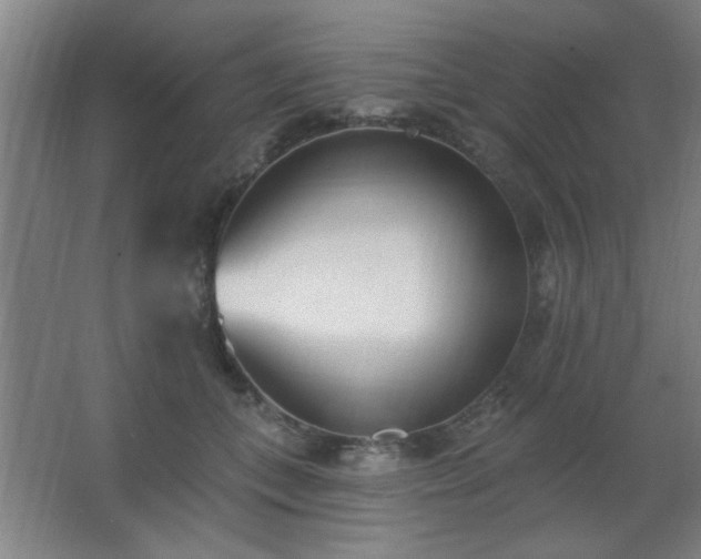 X0000062690559200512281835