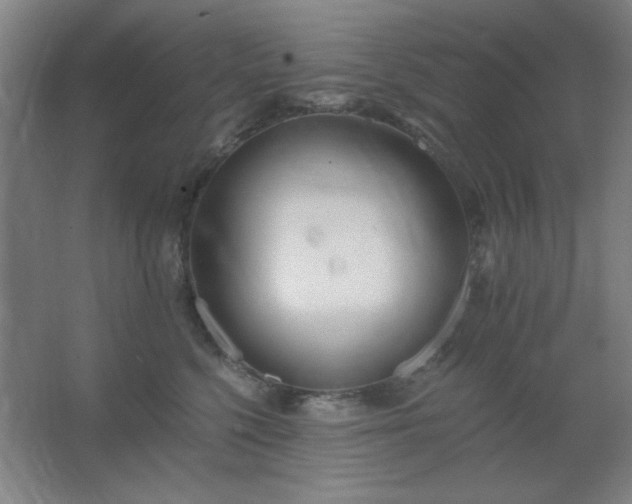 X0000062690568200512281835