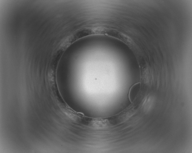 X0000062690571200512281835