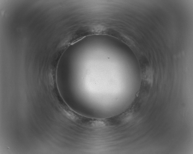 X0000062690572200512281835