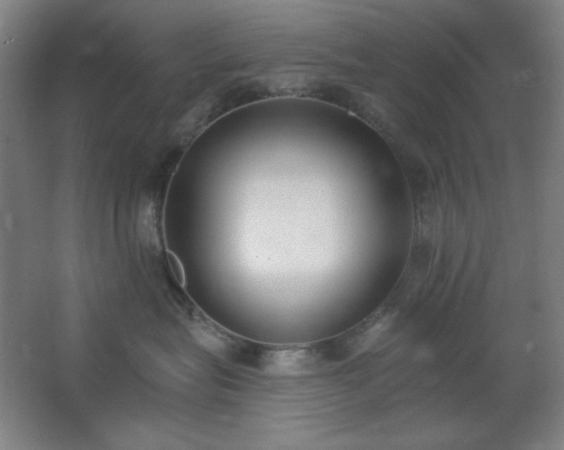 X0000062690575200512281835