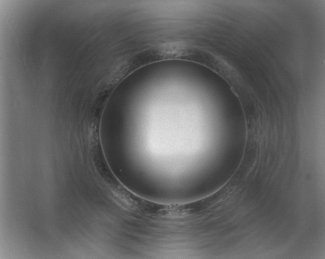 X0000062690601200512281834